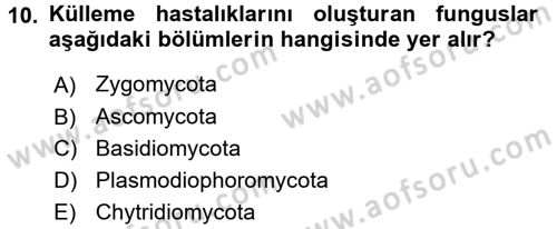 Fitopatoloji Dersi 2016 - 2017 Yılı 3 Ders Sınav Soruları 10. Soru