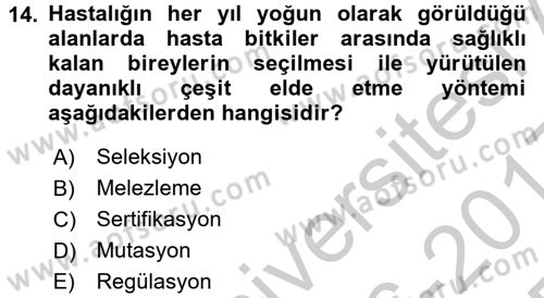 Fitopatoloji Dersi 2016 - 2017 Yılı 3 Ders Sınav Soruları 14. Soru
