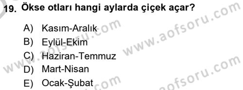 Fitopatoloji Dersi 2016 - 2017 Yılı 3 Ders Sınav Soruları 19. Soru