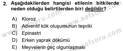 Fitopatoloji Dersi 2016 - 2017 Yılı 3 Ders Sınav Soruları 2. Soru
