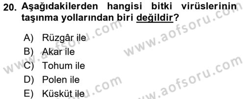 Fitopatoloji Dersi 2016 - 2017 Yılı 3 Ders Sınav Soruları 20. Soru