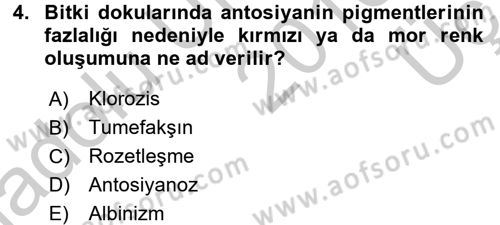 Fitopatoloji Dersi 2016 - 2017 Yılı 3 Ders Sınav Soruları 4. Soru