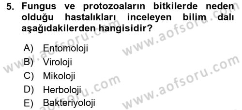 Fitopatoloji Dersi 2016 - 2017 Yılı 3 Ders Sınav Soruları 5. Soru