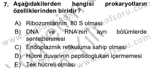 Fitopatoloji Dersi 2016 - 2017 Yılı 3 Ders Sınav Soruları 7. Soru