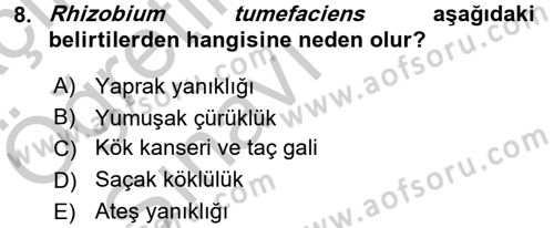 Fitopatoloji Dersi 2016 - 2017 Yılı 3 Ders Sınav Soruları 8. Soru