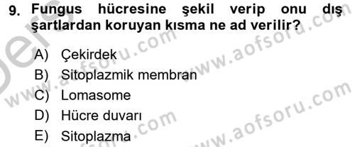 Fitopatoloji Dersi 2016 - 2017 Yılı 3 Ders Sınav Soruları 9. Soru