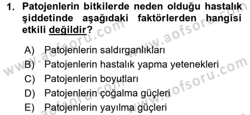 Fitopatoloji Dersi 2016 - 2017 Yılı (Vize) Ara Sınav Soruları 1. Soru