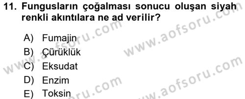 Fitopatoloji Dersi 2016 - 2017 Yılı (Vize) Ara Sınav Soruları 11. Soru