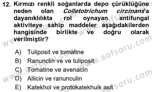 Fitopatoloji Dersi 2016 - 2017 Yılı (Vize) Ara Sınav Soruları 12. Soru