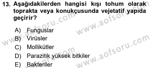 Fitopatoloji Dersi 2016 - 2017 Yılı (Vize) Ara Sınav Soruları 13. Soru