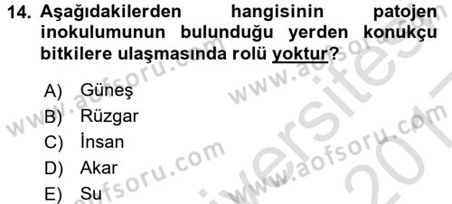 Fitopatoloji Dersi 2016 - 2017 Yılı (Vize) Ara Sınav Soruları 14. Soru