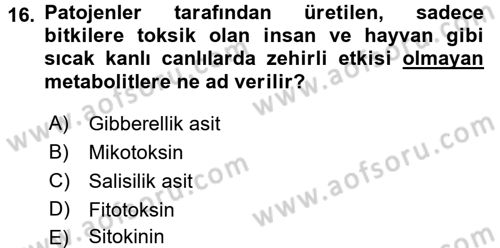Fitopatoloji Dersi 2016 - 2017 Yılı (Vize) Ara Sınav Soruları 16. Soru