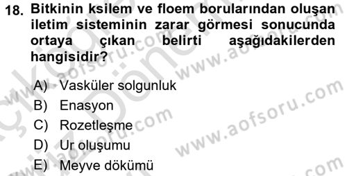 Fitopatoloji Dersi 2016 - 2017 Yılı (Vize) Ara Sınav Soruları 18. Soru