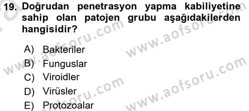 Fitopatoloji Dersi 2016 - 2017 Yılı (Vize) Ara Sınav Soruları 19. Soru