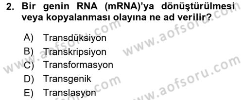 Fitopatoloji Dersi 2016 - 2017 Yılı (Vize) Ara Sınav Soruları 2. Soru