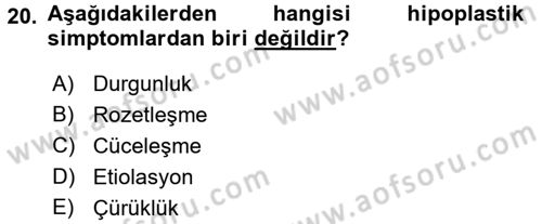 Fitopatoloji Dersi 2016 - 2017 Yılı (Vize) Ara Sınav Soruları 20. Soru