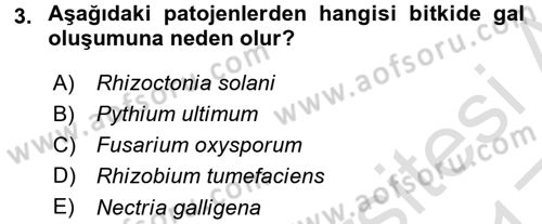Fitopatoloji Dersi 2016 - 2017 Yılı (Vize) Ara Sınav Soruları 3. Soru