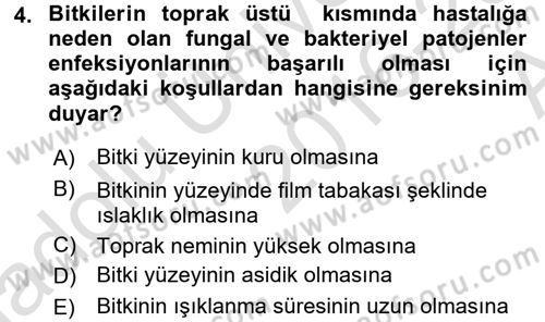 Fitopatoloji Dersi 2016 - 2017 Yılı (Vize) Ara Sınav Soruları 4. Soru
