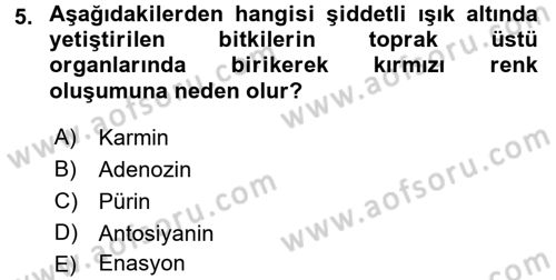 Fitopatoloji Dersi 2016 - 2017 Yılı (Vize) Ara Sınav Soruları 5. Soru