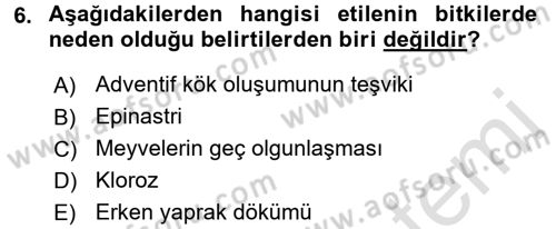 Fitopatoloji Dersi 2016 - 2017 Yılı (Vize) Ara Sınav Soruları 6. Soru