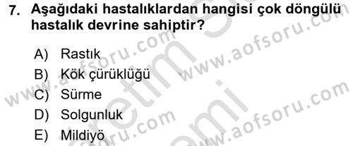 Fitopatoloji Dersi 2016 - 2017 Yılı (Vize) Ara Sınav Soruları 7. Soru