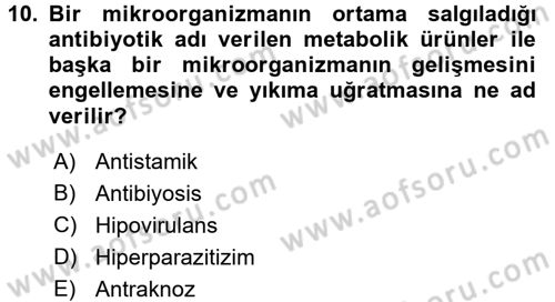 Fitopatoloji Dersi 2016 - 2017 Yılı (Final) Dönem Sonu Sınavı 10. Soru