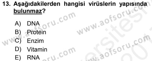 Fitopatoloji Dersi 2016 - 2017 Yılı (Final) Dönem Sonu Sınav Soruları 13. Soru
