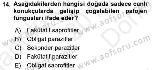 Fitopatoloji Dersi 2016 - 2017 Yılı (Final) Dönem Sonu Sınav Soruları 14. Soru