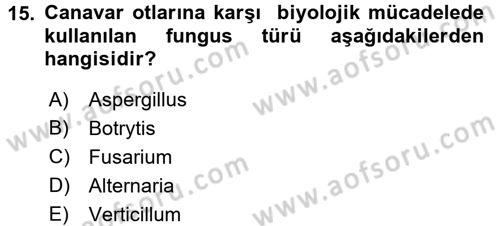 Fitopatoloji Dersi 2016 - 2017 Yılı (Final) Dönem Sonu Sınavı 15. Soru