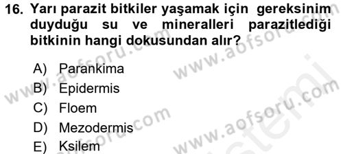 Fitopatoloji Dersi 2016 - 2017 Yılı (Final) Dönem Sonu Sınav Soruları 16. Soru