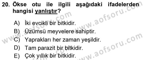 Fitopatoloji Dersi 2016 - 2017 Yılı (Final) Dönem Sonu Sınav Soruları 20. Soru