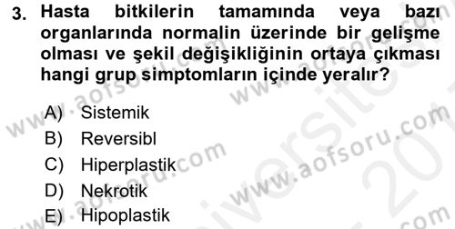 Fitopatoloji Dersi 2016 - 2017 Yılı (Final) Dönem Sonu Sınav Soruları 3. Soru