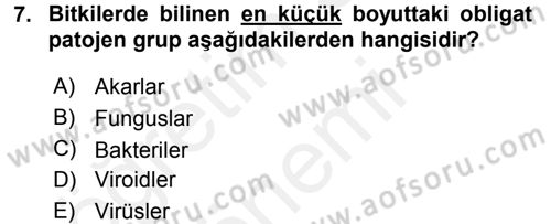 Fitopatoloji Dersi 2016 - 2017 Yılı (Final) Dönem Sonu Sınav Soruları 7. Soru