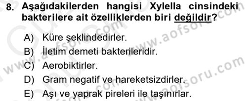 Fitopatoloji Dersi 2016 - 2017 Yılı (Final) Dönem Sonu Sınav Soruları 8. Soru