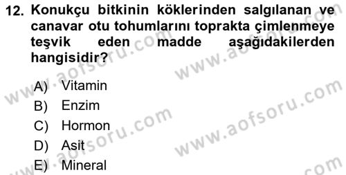 Fitopatoloji Dersi 2017 - 2018 Yılı 3 Ders Sınav Soruları 12. Soru