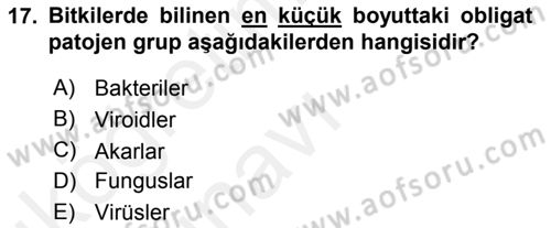 Fitopatoloji Dersi 2017 - 2018 Yılı 3 Ders Sınav Soruları 17. Soru