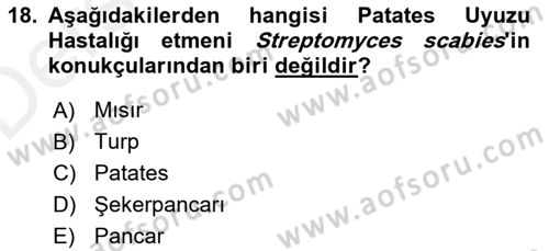 Fitopatoloji Dersi 2017 - 2018 Yılı 3 Ders Sınav Soruları 18. Soru