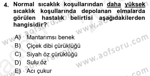 Fitopatoloji Dersi 2017 - 2018 Yılı 3 Ders Sınav Soruları 4. Soru