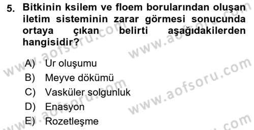 Fitopatoloji Dersi 2017 - 2018 Yılı 3 Ders Sınav Soruları 5. Soru