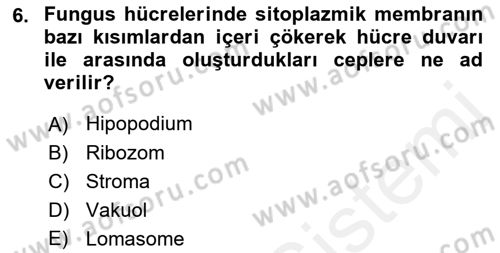 Fitopatoloji Dersi 2017 - 2018 Yılı 3 Ders Sınav Soruları 6. Soru