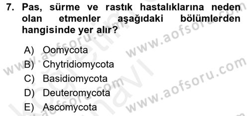 Fitopatoloji Dersi 2017 - 2018 Yılı 3 Ders Sınav Soruları 7. Soru