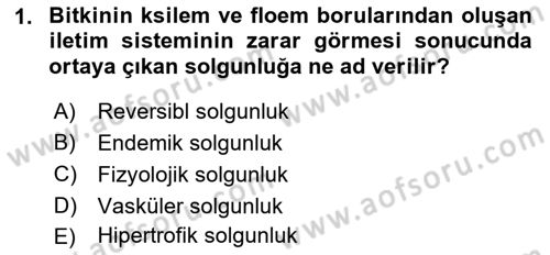 Fitopatoloji Dersi 2017 - 2018 Yılı (Vize) Ara Sınav Soruları 1. Soru