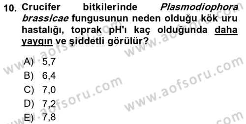 Fitopatoloji Dersi 2017 - 2018 Yılı (Vize) Ara Sınav Soruları 10. Soru