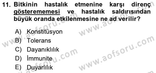 Fitopatoloji Dersi 2017 - 2018 Yılı (Vize) Ara Sınav Soruları 11. Soru