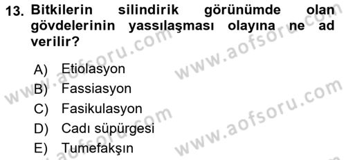 Fitopatoloji Dersi 2017 - 2018 Yılı (Vize) Ara Sınav Soruları 13. Soru
