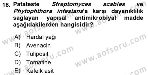 Fitopatoloji Dersi 2017 - 2018 Yılı (Vize) Ara Sınav Soruları 16. Soru