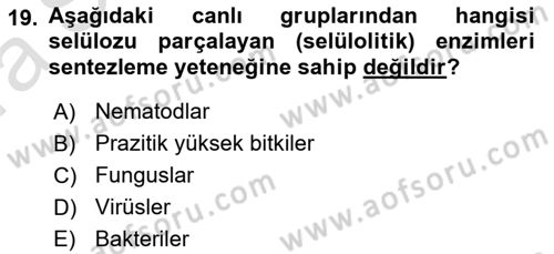 Fitopatoloji Dersi 2017 - 2018 Yılı (Vize) Ara Sınav Soruları 19. Soru