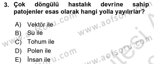 Fitopatoloji Dersi 2017 - 2018 Yılı (Vize) Ara Sınav Soruları 3. Soru