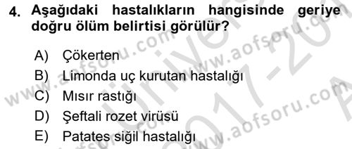 Fitopatoloji Dersi 2017 - 2018 Yılı (Vize) Ara Sınav Soruları 4. Soru