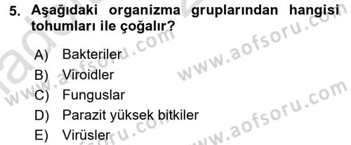 Fitopatoloji Dersi 2017 - 2018 Yılı (Vize) Ara Sınav Soruları 5. Soru